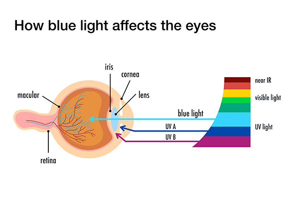 Blue light chart demonstrates how blue light affects the eyes.